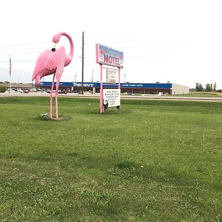 Flamingo Motel Marshalltown Εξωτερικό φωτογραφία
